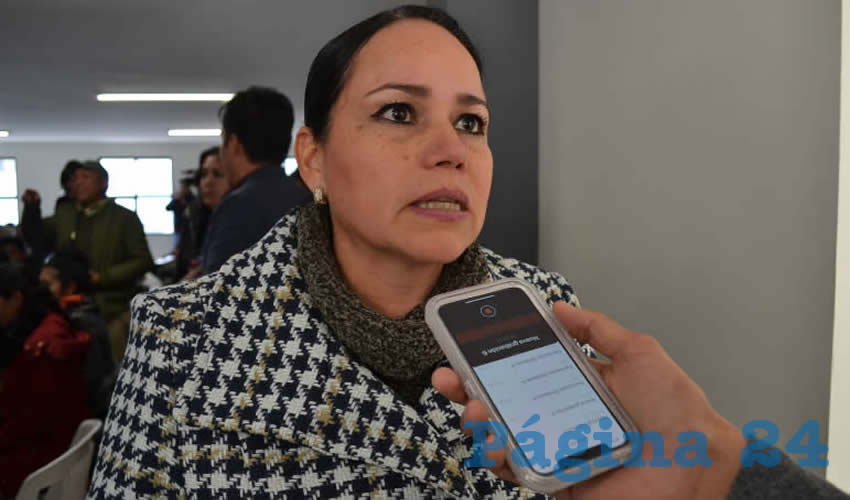 Mirna Maldonado Tapia, diputada federal por el Movimiento Regeneración Nacional (Morena) (Foto: Archivo Página 24)