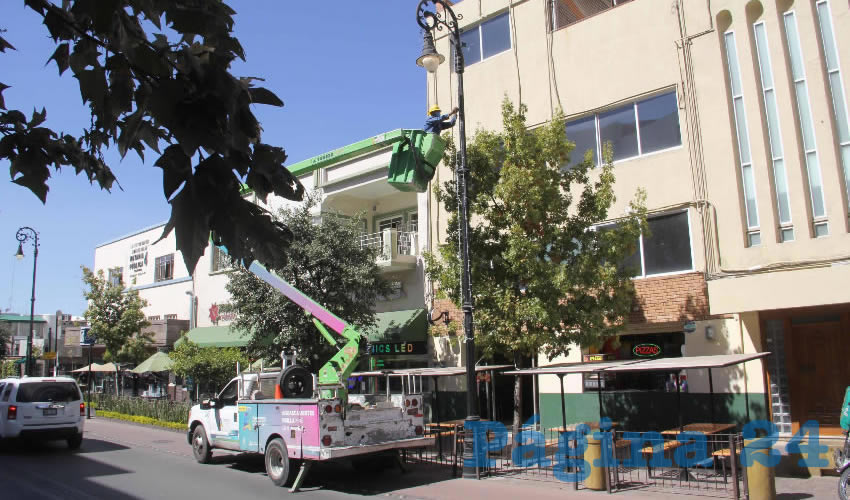 Se tomó la determinación de colocar adornos decembrinos modestos para no dejar pasar estas fechas y que el ambiente de la Navidad abra camino hacia la esperanza