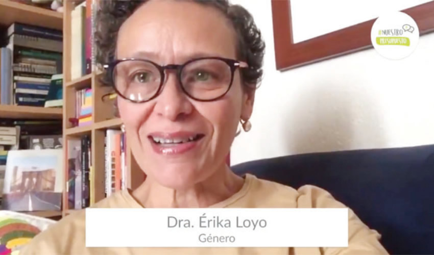 De acuerdo con la investigadora Érika Loyo, el gobierno estatal debe destinar más recursos para atender la violencia digital, pues ésta se ha incrementado en tiempos de pandemia/ Foto: Captura de Video