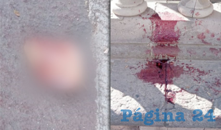 La oreja y la sangre, se encontraban en la balaustrada del jard&iacute;n, en el costado oriente
