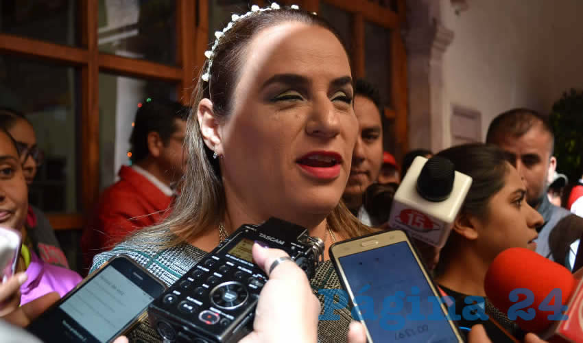 María de Lourdes Rodarte Díaz, titular del Instituto para la Atención e Inclusión de las Personas con Discapacidad (Foto: Archivo Página 24)