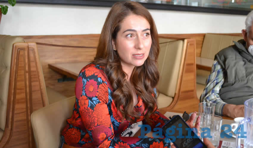Lyndiana Bugarín Cortés, diputada federal (Foto: Archivo Página 24)