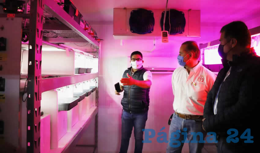 Cabe destacar que entre los proyectos que se desarrollan en la instituci&oacute;n est&aacute; la desinfecci&oacute;n de vegetales con luces Led, el crecimiento de plantas sin la necesidad de luz solar y el dise&ntilde;o de un sistema para la hidroponia