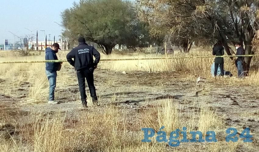 En un lote bald&iacute;o del fraccionamiento Vistas de Oriente, un desconocido se ahorc&oacute; en un &aacute;rbol
