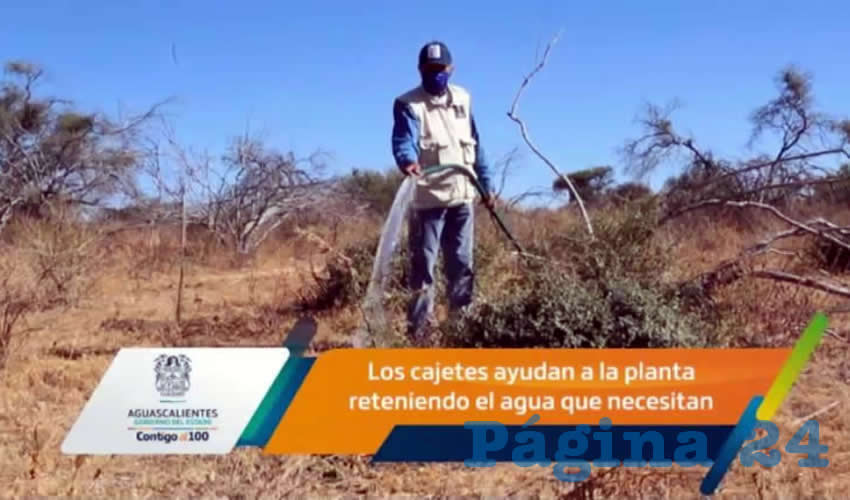 Julio César Medina dio a conocer durante este recorrido que han sido 400 los árboles de mezquite y huizache con los que se ha reforestado El Tecolote