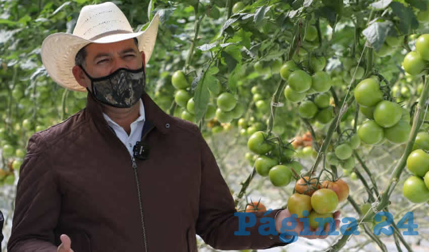 Lo que se ha destinado a trav&eacute;s de programas de apoyo al campo repercute de manera significativa en la fortaleza econ&oacute;mica para Aguascalientes