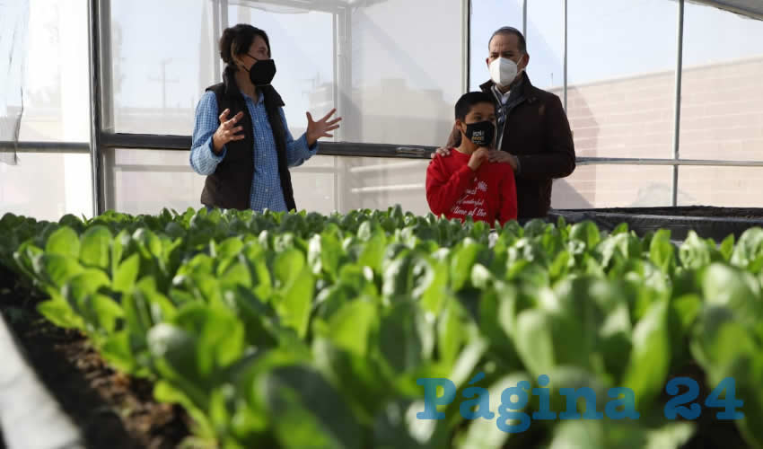 La propietaria del negocio Broto Healthy Farm, Blanca Isela P&eacute;rez Barba, explic&oacute; al mandatario estatal que, luego de participar en un par de convocatorias de proyectos productivos y obtener primeros lugares, se accedi&oacute; a un financiamiento del Gobierno del Estado para poder incrementar la producci&oacute;n y realizar la comercializaci&oacute;n de manera formal