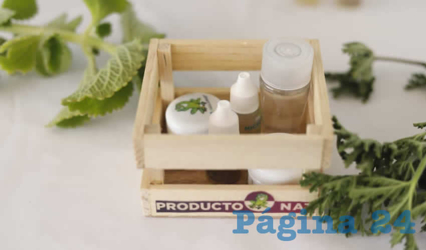 La Secretaría del Medio Ambiente y Desarrollo Sustentable imparte el taller Farmacia Viviente