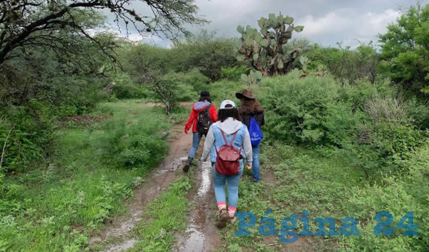 Estudiantes de la Licenciatura en Biolog&iacute;a de la Universidad Aut&oacute;noma de Aguascalientes realizaron un proyecto de investigaci&oacute;n con el que lograron identificar diversas especies de mam&iacute;feros silvestres