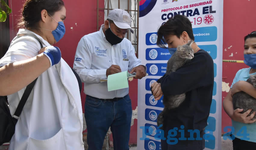 Como parte de los servicios de protección animal que ofrece el Municipio de Aguascalientes, se realizaron más de 500 esterilizaciones caninas y felinas gratuitas
