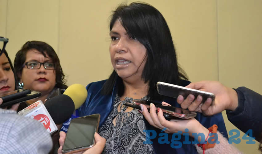 María Guadalupe López Marchant, titular de la Secretaría de Desarrollo Urbano, Vivienda y Ordenamiento Territorial (Seduvot) (Foto: Archivo Página 24)