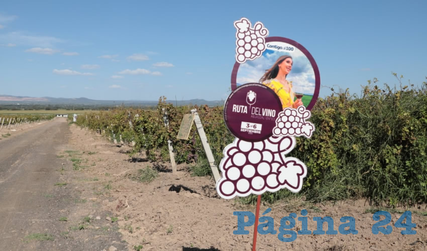 Se crearon nuevos productos turísticos y se ofrecieron eventos virtuales para la ciudadanía, además se innovó en la forma de brindar capacitación a restauranteros y hoteleros