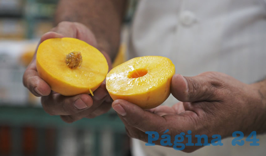 Los productos que est&aacute;n en el escenario nacional son: la guayaba, cilantro, ma&iacute;z forrajero, carne de pollo, lechuga, uva, coliflor, fresa, ajo, br&oacute;coli, durazno y leche 