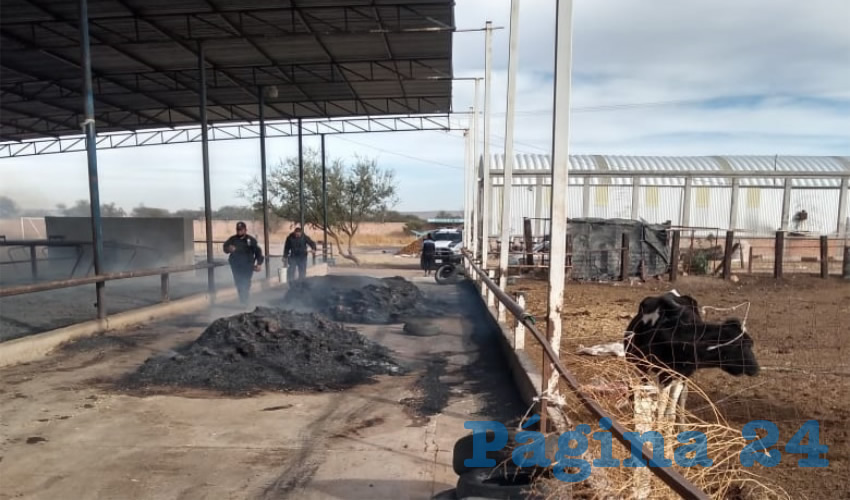 El fuego acabó con varias pacas de alfalfa para ganado