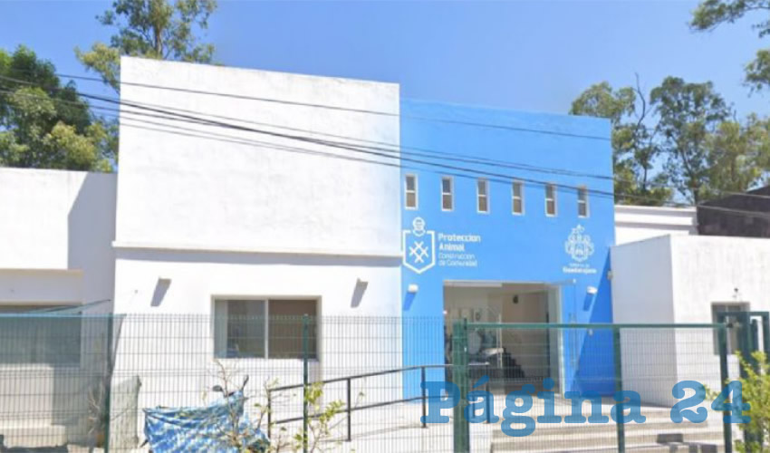 Se denunció ante la FGR al administrador de la Dirección de Protección Animal de Guadalajara, Emanuel Alfonso Carreño Preciado por usurpación de profesión, por la “desaparición” de tres toneladas de croquetas, y el pago a sobreprecio en el servicio de recolección y destino final de desechos cárnico/Foto: Google Maps