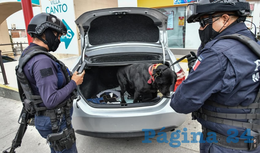 La Secretar&iacute;a de Seguridad P&uacute;blica Municipal de Aguascalientes da a conocer las cifras de sus actividades contra el delito realizadas el a&ntilde;o pasado