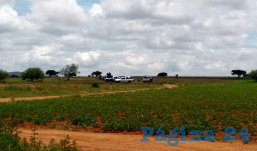 La zona del hallazgo