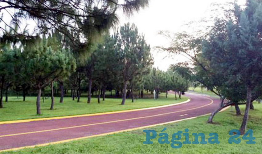 Al interior del Parque Metropolitano, en Zapopan, hay muchos ciclistas que no respetan los límites de velocidad ni los anuncios colocados en la ciclopista, lo que puede provocar un accidente. Es necesario que los cuidadores del lugar metan en cintura a estos usuarios/Foto: Cortesía