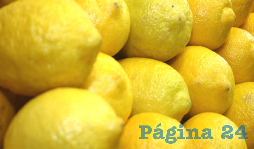 Las limas contienen un 94 por ciento de agua, vitamina C, minerales como el potasio, magnesio, además ácido fólico, ácido cítrico (muchísimo), flavoides, aceites esenciales, beta-caroteno, antioxidantes