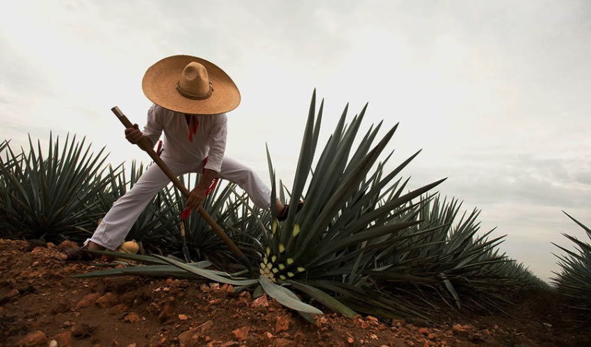 Fotograf&iacute;a relevante a la nota.
