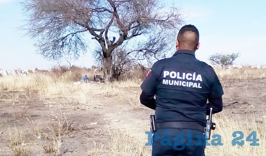 Hasta el momento, el suicida no ha sido identificado
