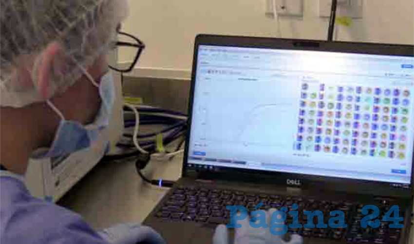 Con la aplicación “Mi Riesgo Covid”, de la Universidad de Guadalajara (UdeG), las personas podrán calcular la posibilidad de ser hospitalizadas o intubadas, según sus características y estado de salud/Foto: UdeG