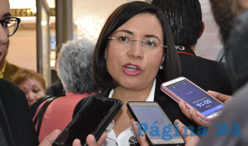 María de la Luz Domínguez Campos, titular de la Comisión de Derechos Humanos del Estado de Zacatecas (CDHEZ) (Foto: Archivo Página 24)