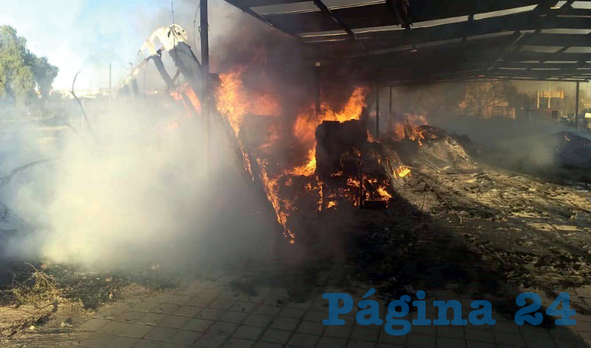 Por causas desconocidas se origin&oacute; el fuego en el vivero situado en avenida Ayuntamiento