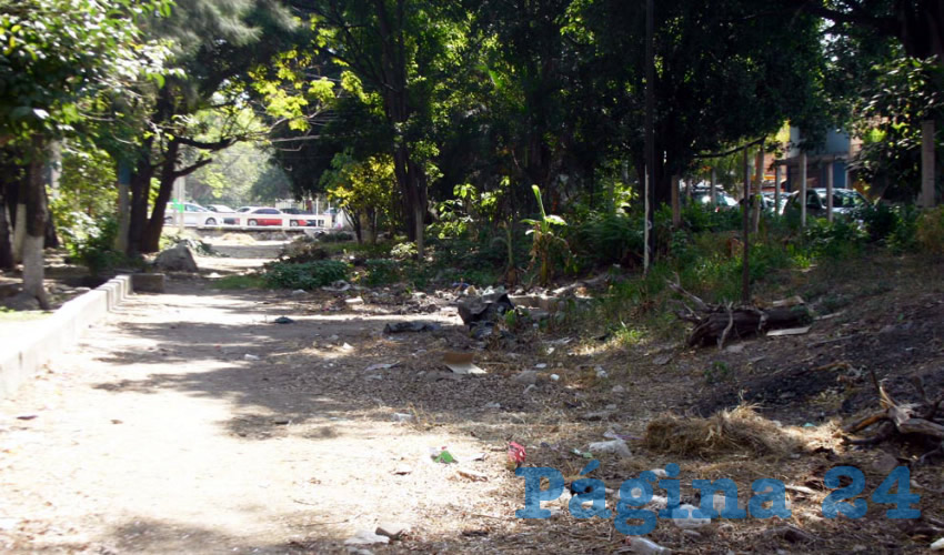 A la falta de ruta del camión de aseo público se suma la indolencia de vecinos de la zona, quienes tiran sus desechos en la vía pública sin ser sancionados. Por esto, exigen mano dura/Foto: Francisco Tapia