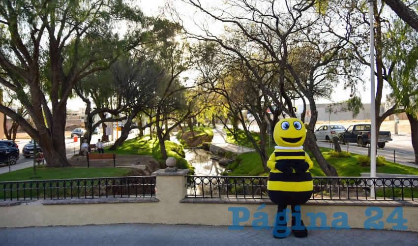 Se instalaron 42 luminarias tipo led y se dio mantenimiento al cableado adaptando los postes para que las copas de los árboles no obstruyan la luz
