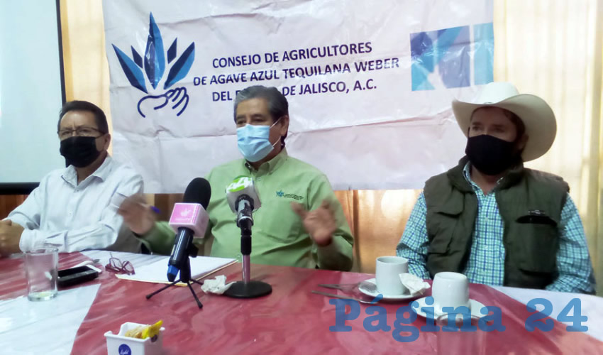 Raúl García, presidente del Consejo Estatal Agavero de Jalisco, indicó que el problema se debe en gran medida a que grandes empresas o latifundistas concentran la mayoría de la producción de la planta mientras que los demás son campesinos/Foto: Francisco Tapia