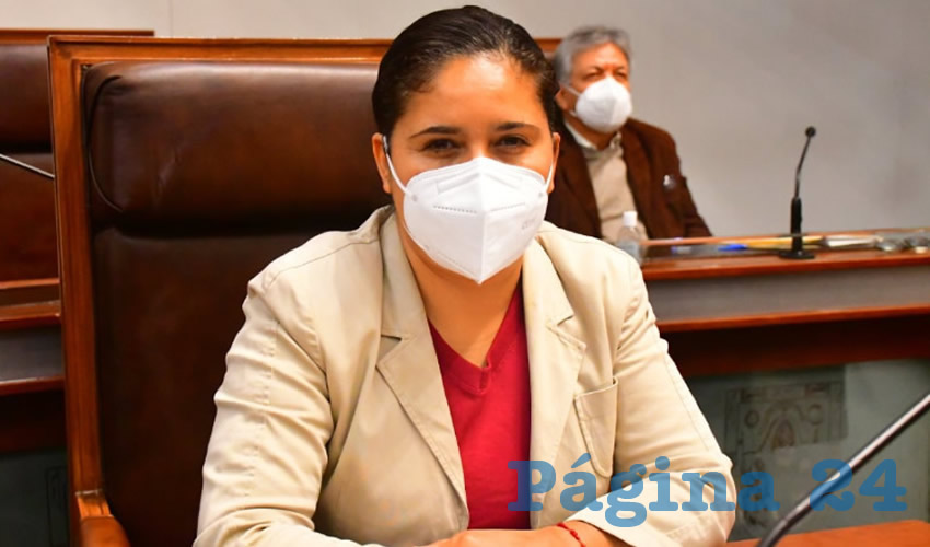 Alma Dávila Luévano, diputada local por el Movimiento Regeneración Nacional (Morena) (Foto: Archivo Página 24)