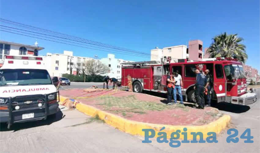 Fotografía relevante a la nota.