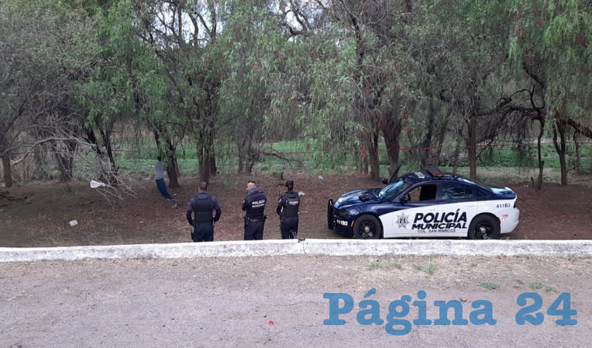 Fotografía relevante a la nota.
