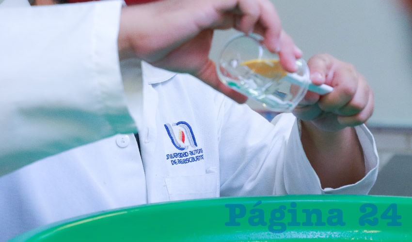 Fotografía relevante a la nota.