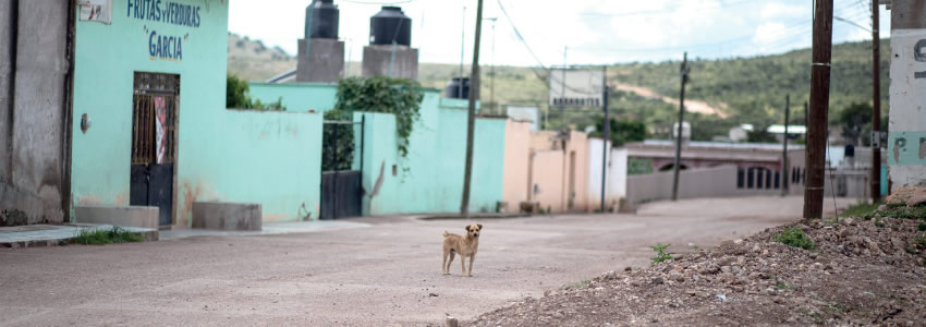 Fotografía relevante a la nota.