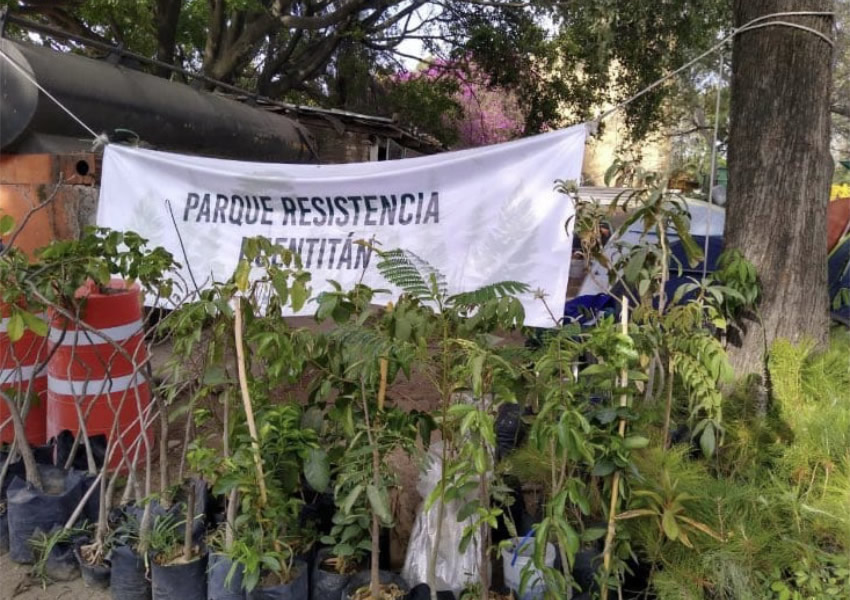 Fotografía relevante a la nota.