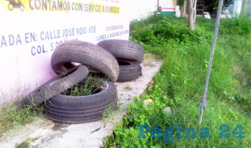 Fotografía relevante a la nota.