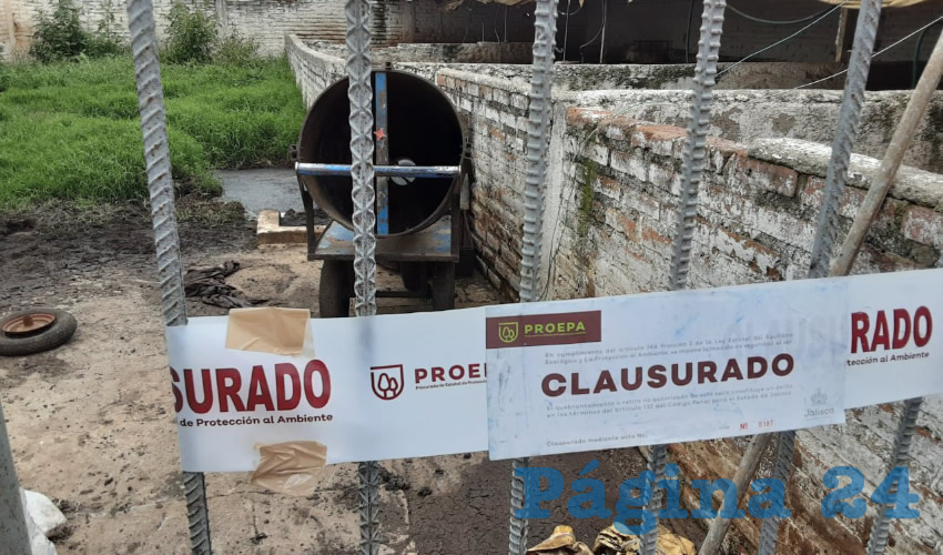 Fotografía relevante a la nota.