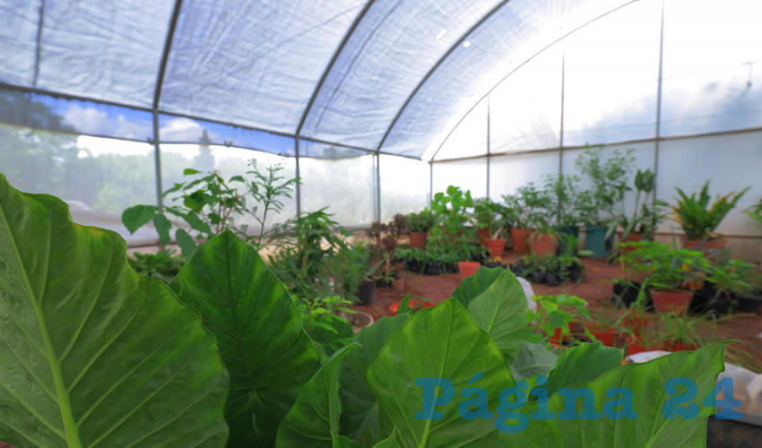 Fotografía relevante a la nota.