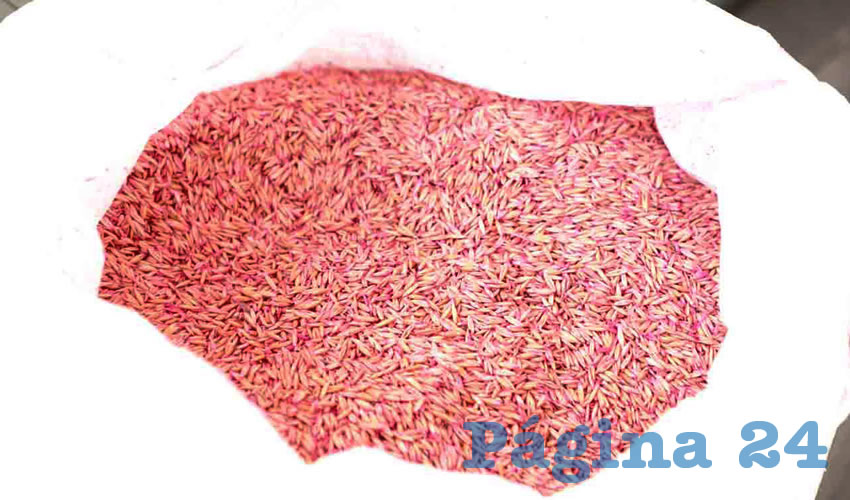 Fotografía relevante a la nota.