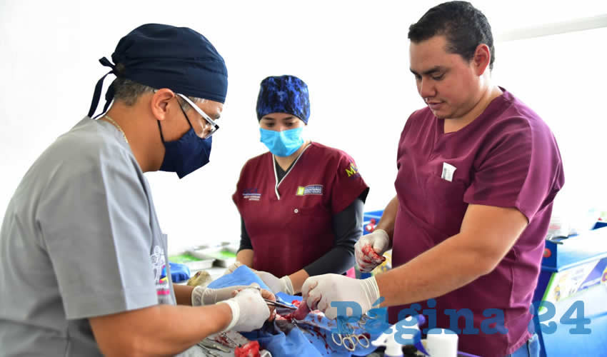 Fotografía relevante a la nota.