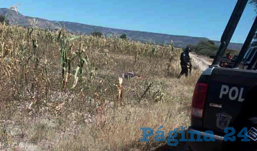 Fotografía relevante a la nota.