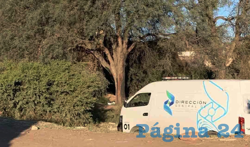 Fotografía relevante a la nota.