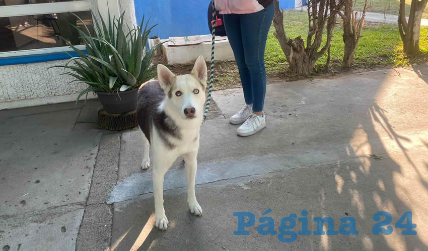 Fotografía relevante a la nota.