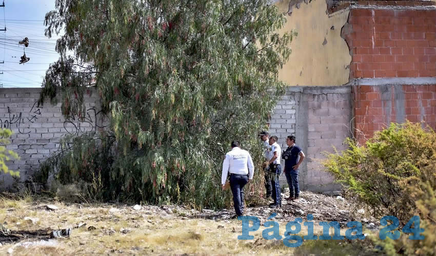 Fotografía relevante a la nota.