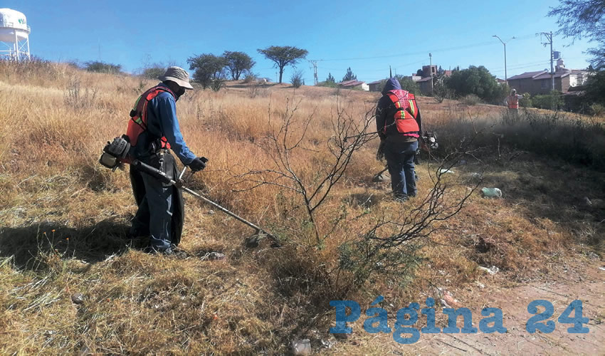Fotografía relevante a la nota.