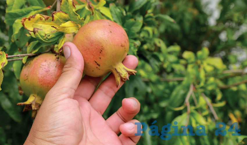 Fotografía relevante a la nota.