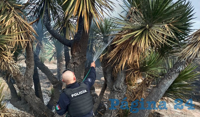 Fotografía relevante a la nota.