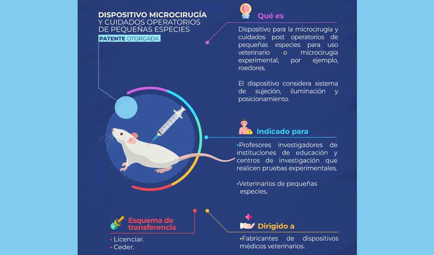 Fotografía relevante a la nota.